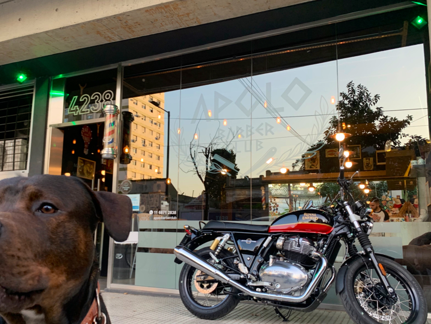 Barbería: Apolo Barber Club